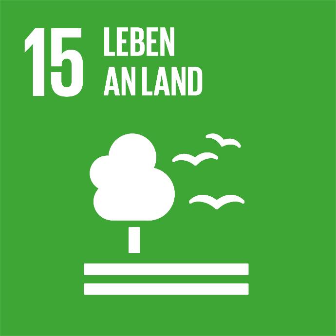 Grafik zum Ziel Nachhaltige Entwicklung: Leben an Land